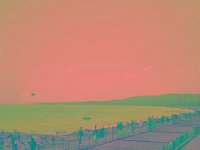 IMGP2676 edited (Medium)